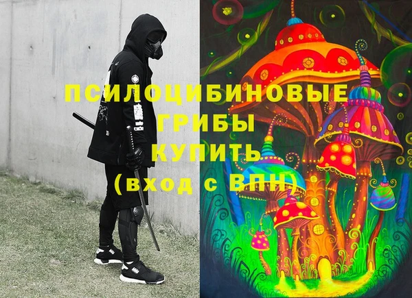 таблы Бородино