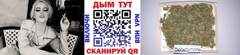 что такое   Новопавловск  Шишки марихуана сатива 